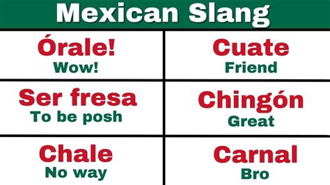 vale verga slang|Mexican slang Words